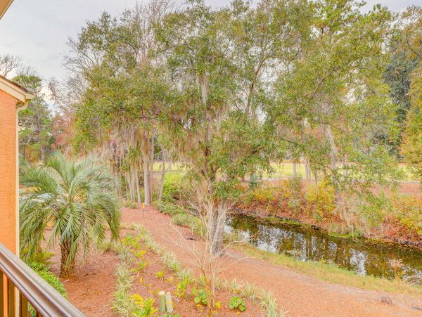 Hilton Head Condo 1009034
