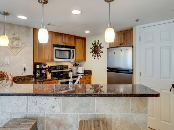 Hilton Head Condo 1009037