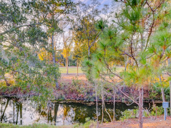 Hilton Head Condo 1009038