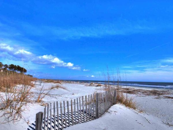 Hilton Head Condo 1009038