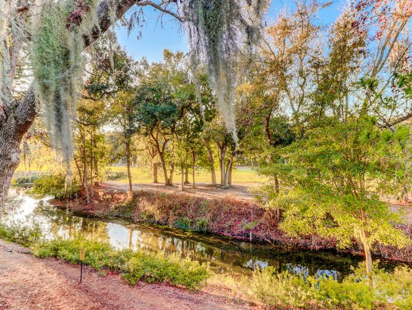 Hilton Head Condo 1009043