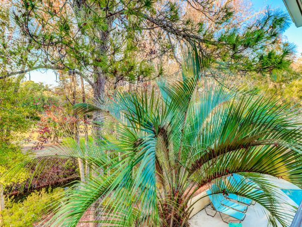 Hilton Head Condo 1009043