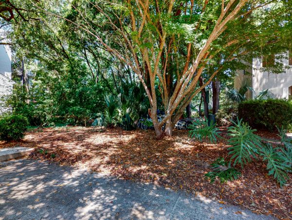 Hilton Head Condo 1009045
