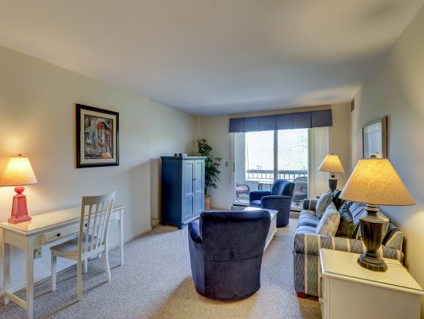 Hilton Head Condo 1009047