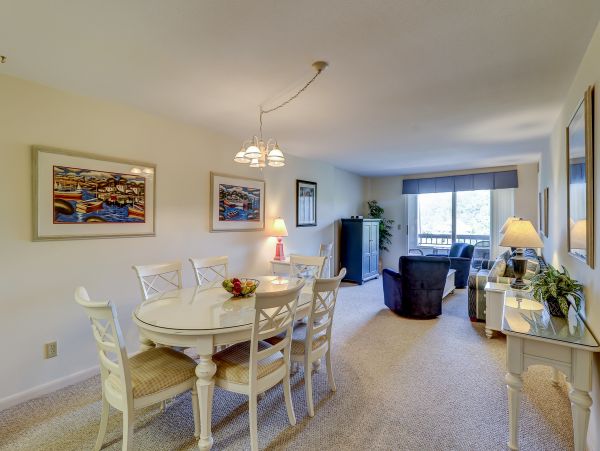 Hilton Head Condo 1009047