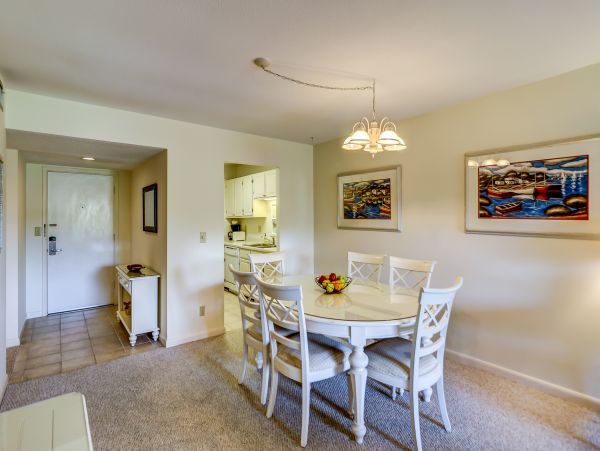 Hilton Head Condo 1009047