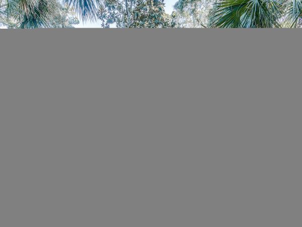 Hilton Head Home 1009056