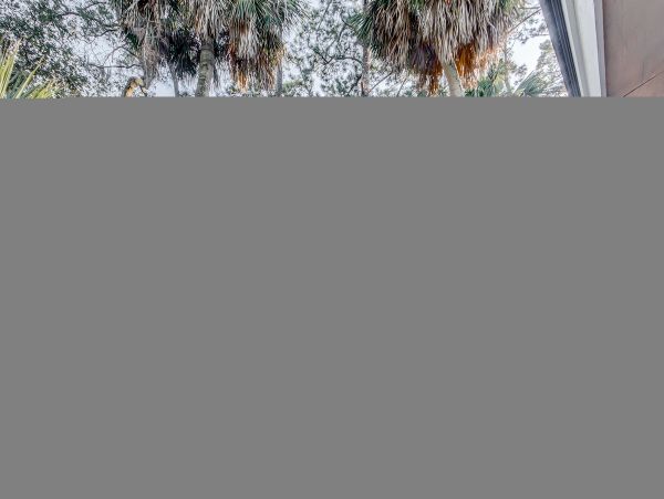 Hilton Head Home 1009056