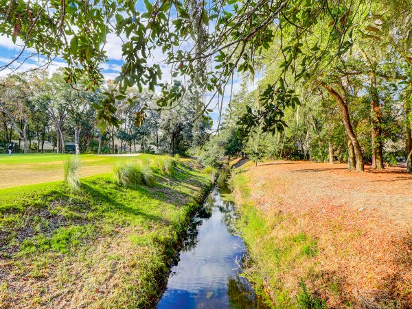 Hilton Head Condo 1009059