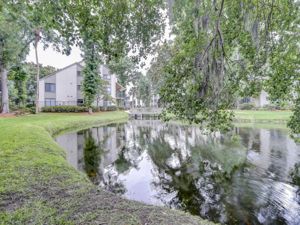 Hilton Head Condo 1009067