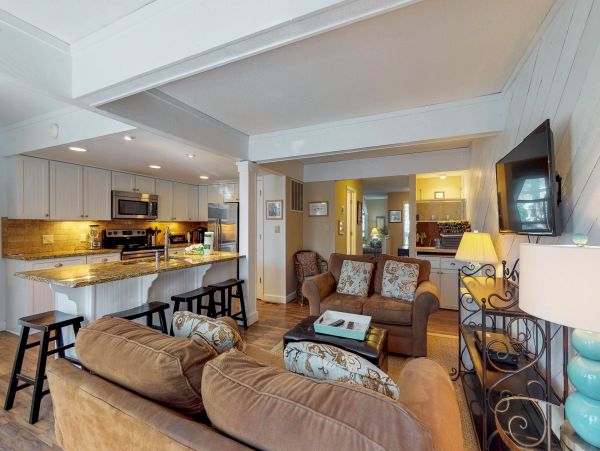 Hilton Head Condo 1009068