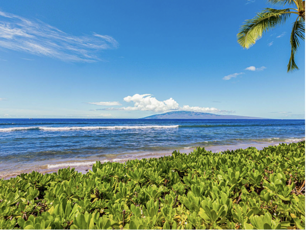 Oceanfront Vacation Townhome in Lahaina Sleeps 8 Guests