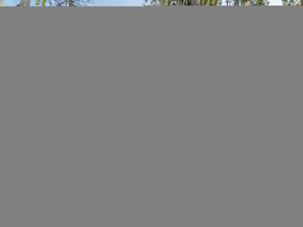 Hilton Head Condo 1009075