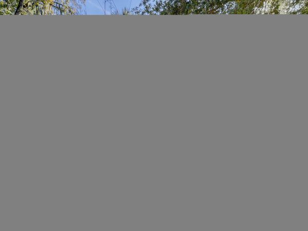 Hilton Head Condo 1009075
