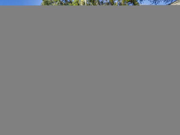 Hilton Head Condo 1009075
