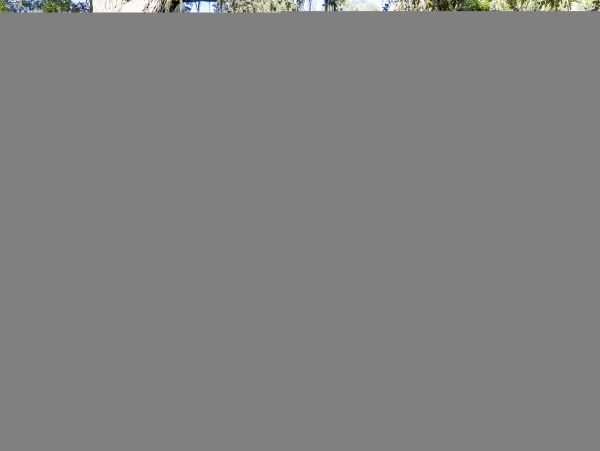 Hilton Head Condo 1009075