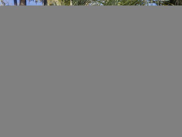 Hilton Head Condo 1009075