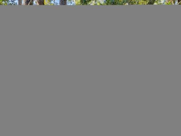 Hilton Head Condo 1009075