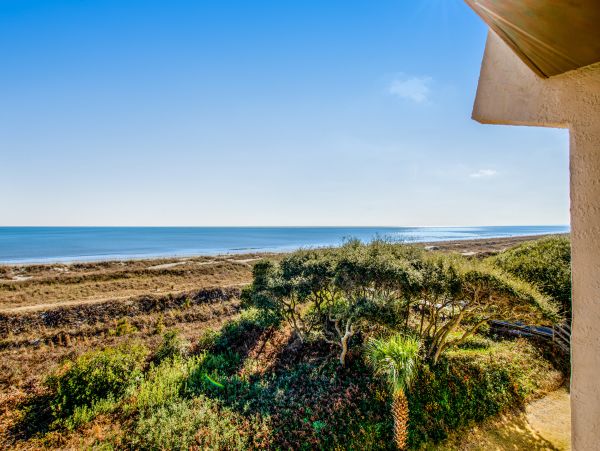 Hilton Head Condo 1009082