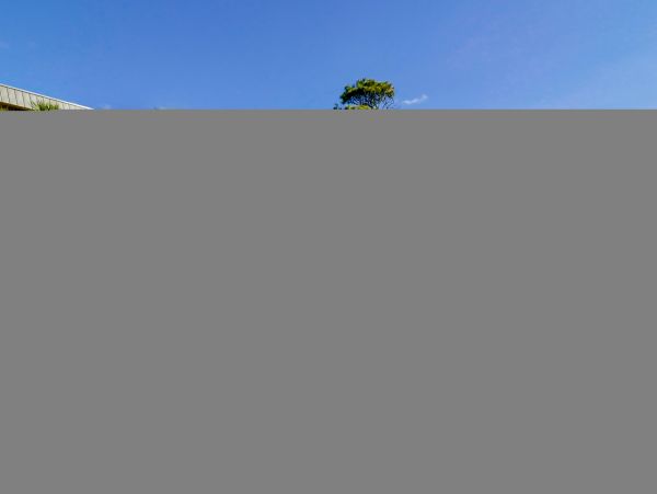 Hilton Head Condo 1009083
