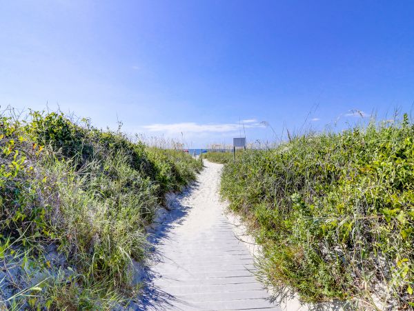 Hilton Head Condo 1009083