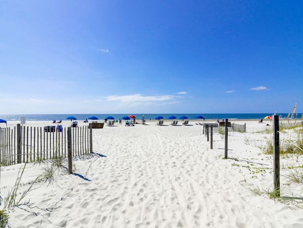 Hilton Head Condo 1009083