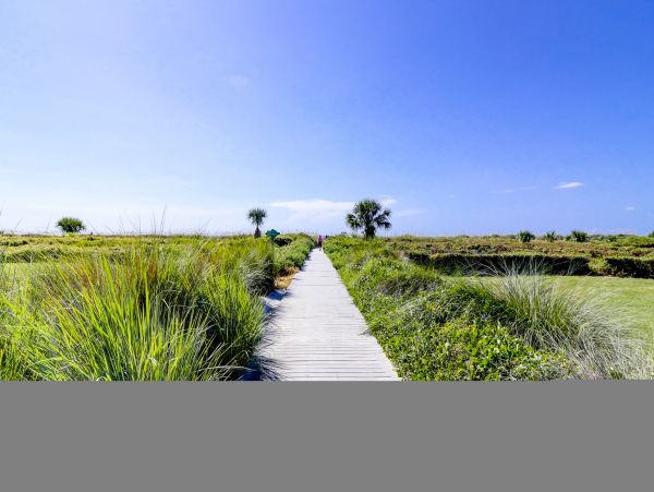 Hilton Head Condo 1009083