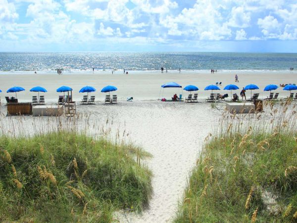 Hilton Head Condo 1009087