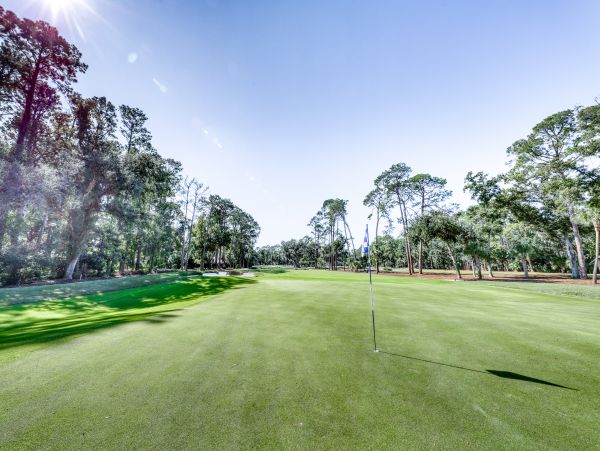 Hilton Head Home 1009088