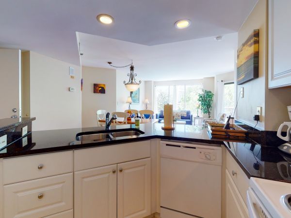 Hilton Head Condo 1009092