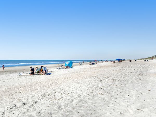 Hilton Head Condo 1009092