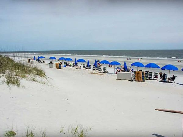 Hilton Head Condo 1009095