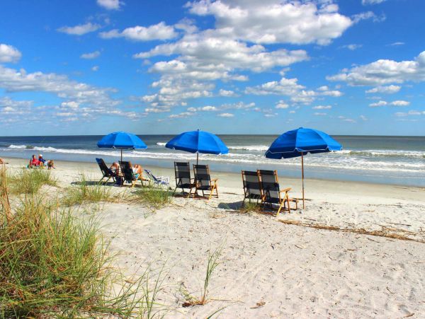 Hilton Head Condo 1009097