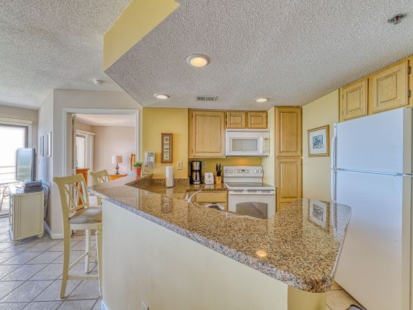 Hilton Head Condo 1009097