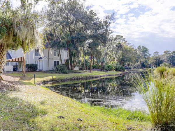 Hilton Head Condo 1009098