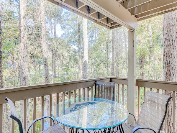 Hilton Head Condo 1009112