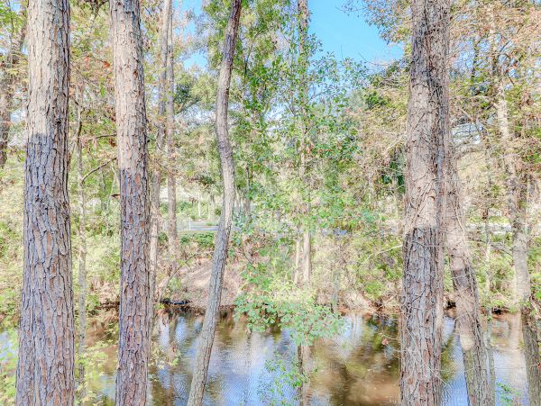 Hilton Head Condo 1009112