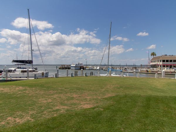 Hilton Head Condo 1009113