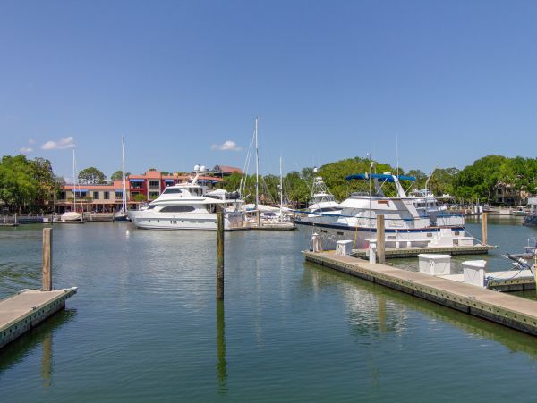 Hilton Head Condo 1009113