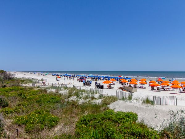 Hilton Head Condo 1009113