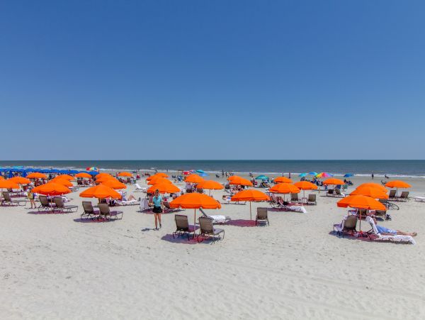 Hilton Head Condo 1009113