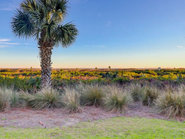 Hilton Head Condo 1009115