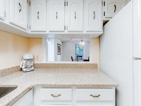 Hilton Head Condo 1009128