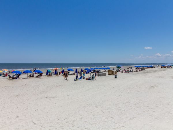 Hilton Head Condo 1009128