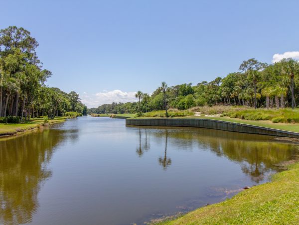 Hilton Head Condo 1009128