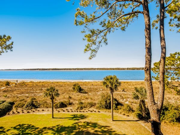 Hilton Head Condo 1009131
