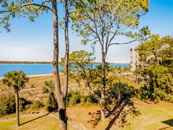 Hilton Head Condo 1009131