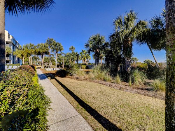 Hilton Head Condo 1009132