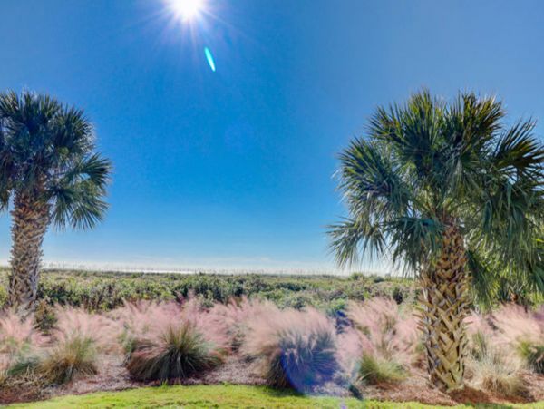 Hilton Head Condo 1009132