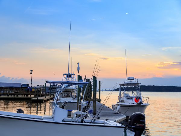 Hilton Head Condo 1009133